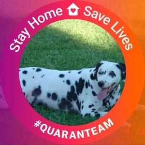 Meet your Posher, Steve